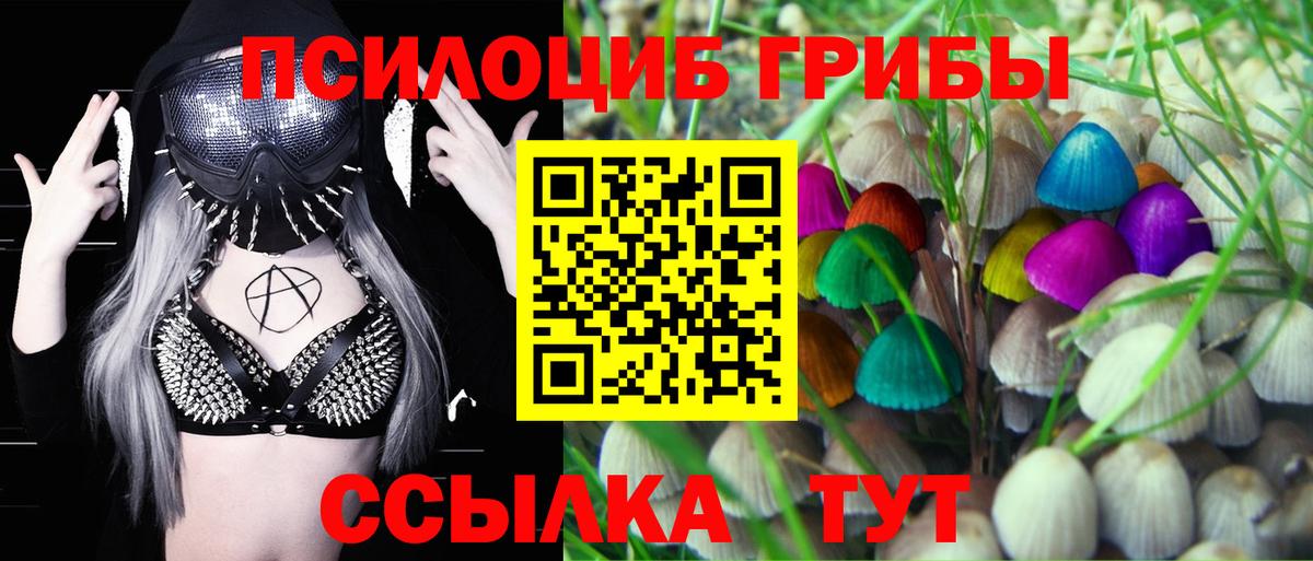 Нижневартовск  цены наркотик  Вход с VPN  Псилоцибиновые грибы GOLDEN TEACHER 
